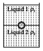 Mechanical Properties of Solids and Fluids mcq question image